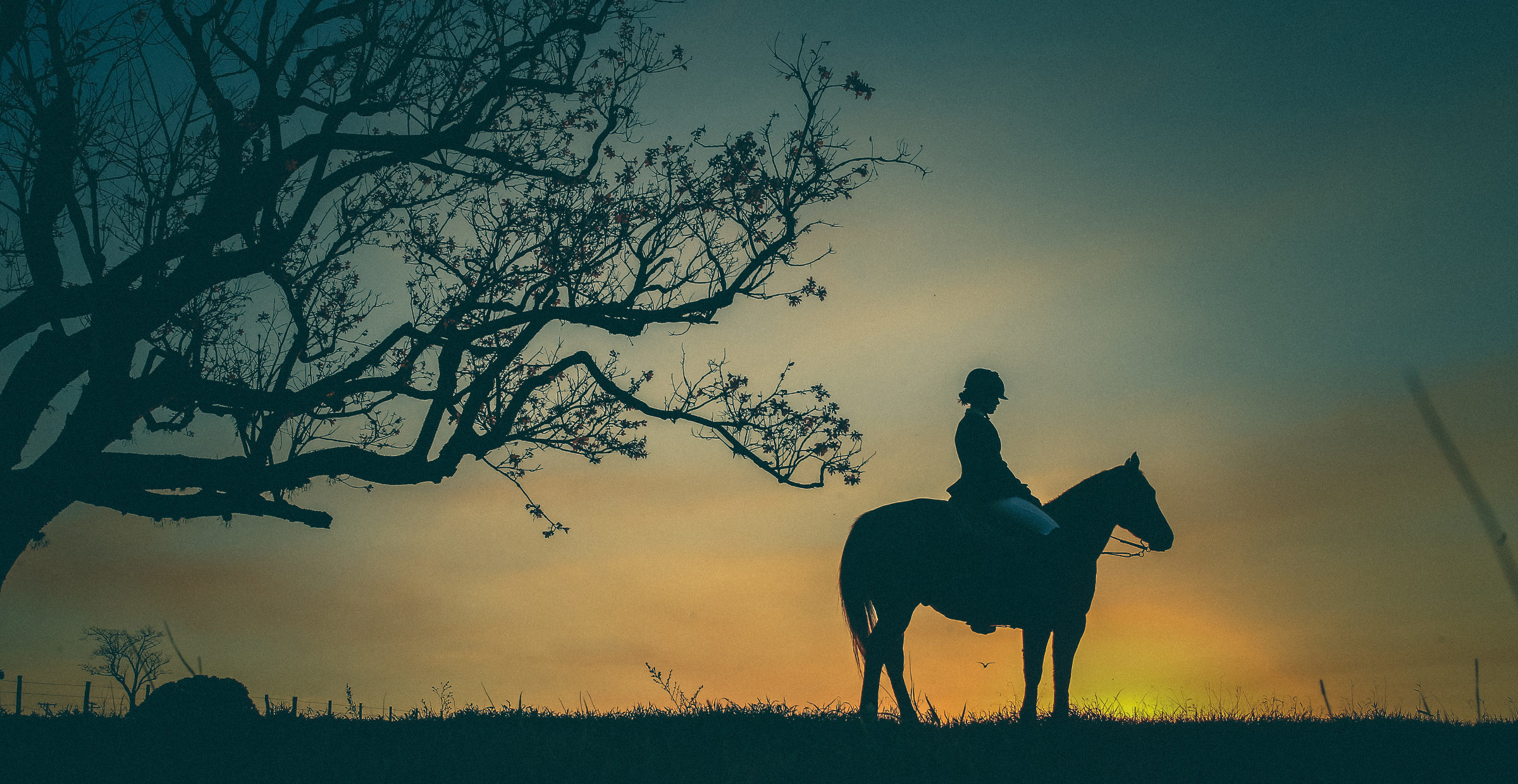 Foto de John Lennon Fotografia 5